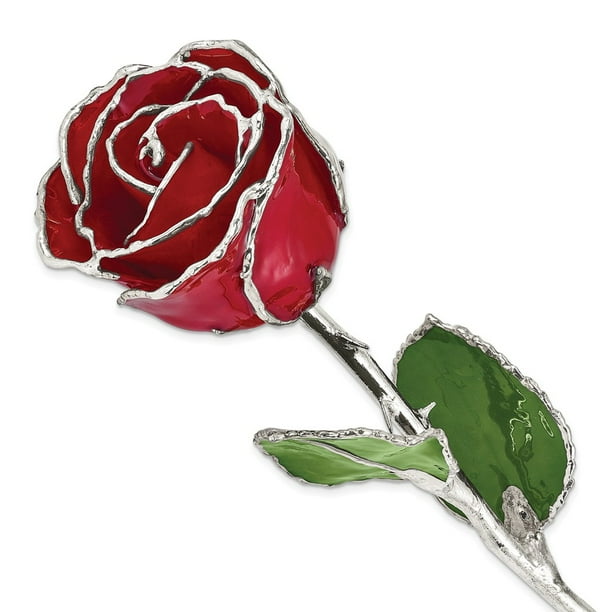 Diamond2Deal Lacquer Dipped Silver Trimmed Red Rose