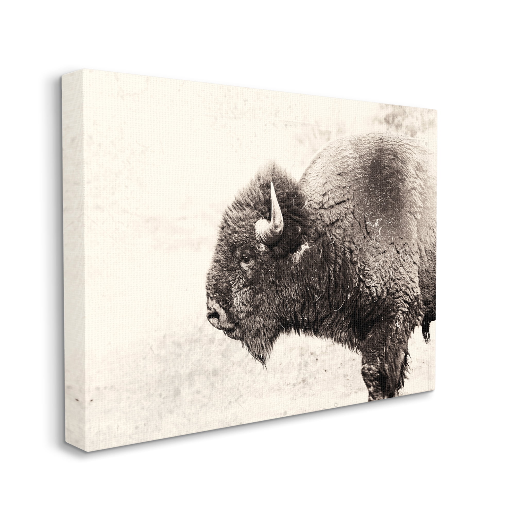 Stupell Industries Shaggy Buffalo Rustic Portrait Vintage Sepia Tone Photography, 30 x 24,Design by Nancy Crowell