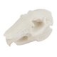 thumbnail image 2 of Accesorios de Resina Modelo de Cráneo de Animal Adorno de Decoración de Paisaje Estatuil de Cueva para Acuario Conejo, 2 of 8