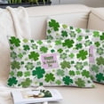 thumbnail image 2 of St Patricks Day Pillow Covers Queen, Shamrock Grey Green Spring Modern Leaf Soft Brushed Microfiber Breathable Throw Pillow Covers, Decorative Pillowcase with Zipper for Couch Sofa Bedroom 20"x30", 2 of 9