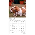 thumbnail image 3 of Basset Hounds | 2027 7x14" (Hanging) Wall Calendar, 3 of 9