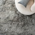 thumbnail image 4 of Safavieh Paris Darwin Plush Shag Area Rug, 4 of 8