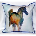 thumbnail image 4 of Betsy Drake ZP877 Colt Indoor & Outdoor Throw Pillow- 22 x 22 in., 4 of 4