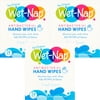 (3 pack) (3 Pack) Wet - Nap The Original Antibacterial Hand Wipes Fresh Scent - 24 CT24.0 CT
