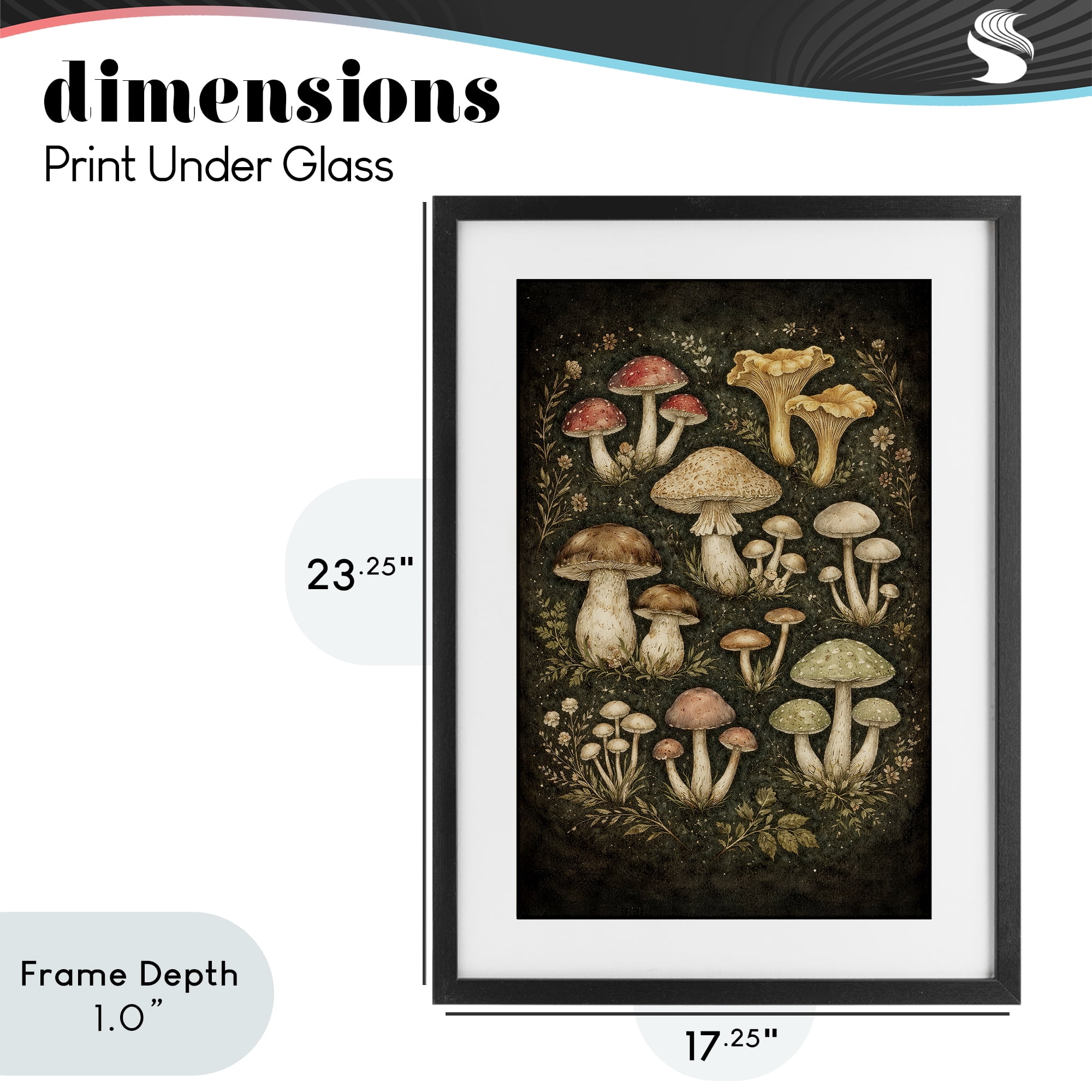 Stupell Industries Organic Sprouting Mushrooms Black Framed Print Under Glass, design by Tom Crehan