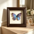 thumbnail image 5 of Feledorashia Shadow Box Frame, Specimen Display Frame, Deep Hollow Display for Dried Flowers Keepsakes Photos and Crafts, MDF Frame with Clear Glass Window Back Support and Layered Border, 5 of 6