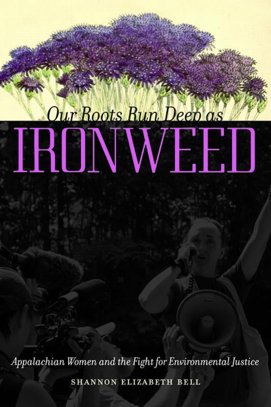 ironweed book review ironweed book review