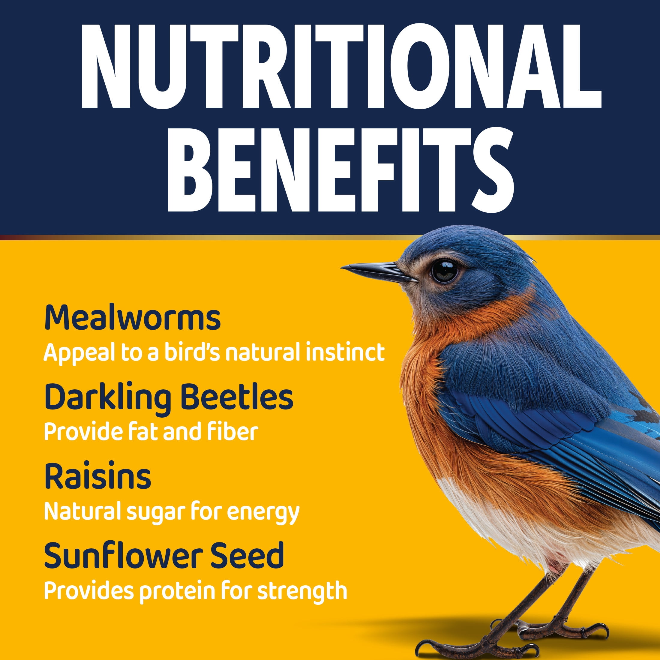 3-D Pro Blends Bugs N Berries® Wild Bird Food, Wild Bird Seed Blend, 5 Pounds