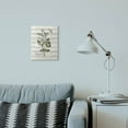 thumbnail image 3 of Stupell Industries Coriander Vintage Herb Kitchen Dining Room Word Collage Design Wall Plaque Art by Kimberly Allen, 3 of 3