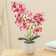 thumbnail image 4 of Película de impresión 3D, doble tenedor, phalaenopsis, bonsái, decoración del hogar, simulación de plantas en macetas, 4 of 5