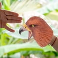 thumbnail image 5 of marioneta de mano de juguete con forma de águila, juguete interactivo, muñeca de mano, 5 of 5