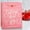 🔥 A_Hot#845, variant on Valentine’s Day Romantic Gift Bag | Reusable Tote, Durable Construction, Elegant Design, for Couples | Large Capacity, Easy Personalization | Perfect for Anniversaries & Special Occasions