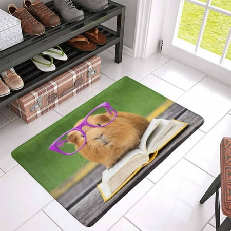 Pop Funny Guinea Pig In Glasses Reading A Book Outdoors Doormat