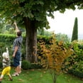 thumbnail image 4 of WUJDF 1Pc Artificial Fern Boston Plants,Plastic Shrubs Grass Fake Greenery Ferns Bushes for Home Garden Office Kitchen Outdoor Indoor Uv Resistant Wedding Diy Decor Planter Filler Home Decoration 14", 4 of 6