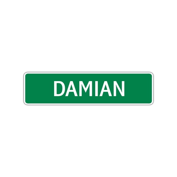 Damian Boys Children Name Decoration Label Indoor Outdoor Letter Printed Plaque Wall Novelty Aluminum Sign 4"x13.5"