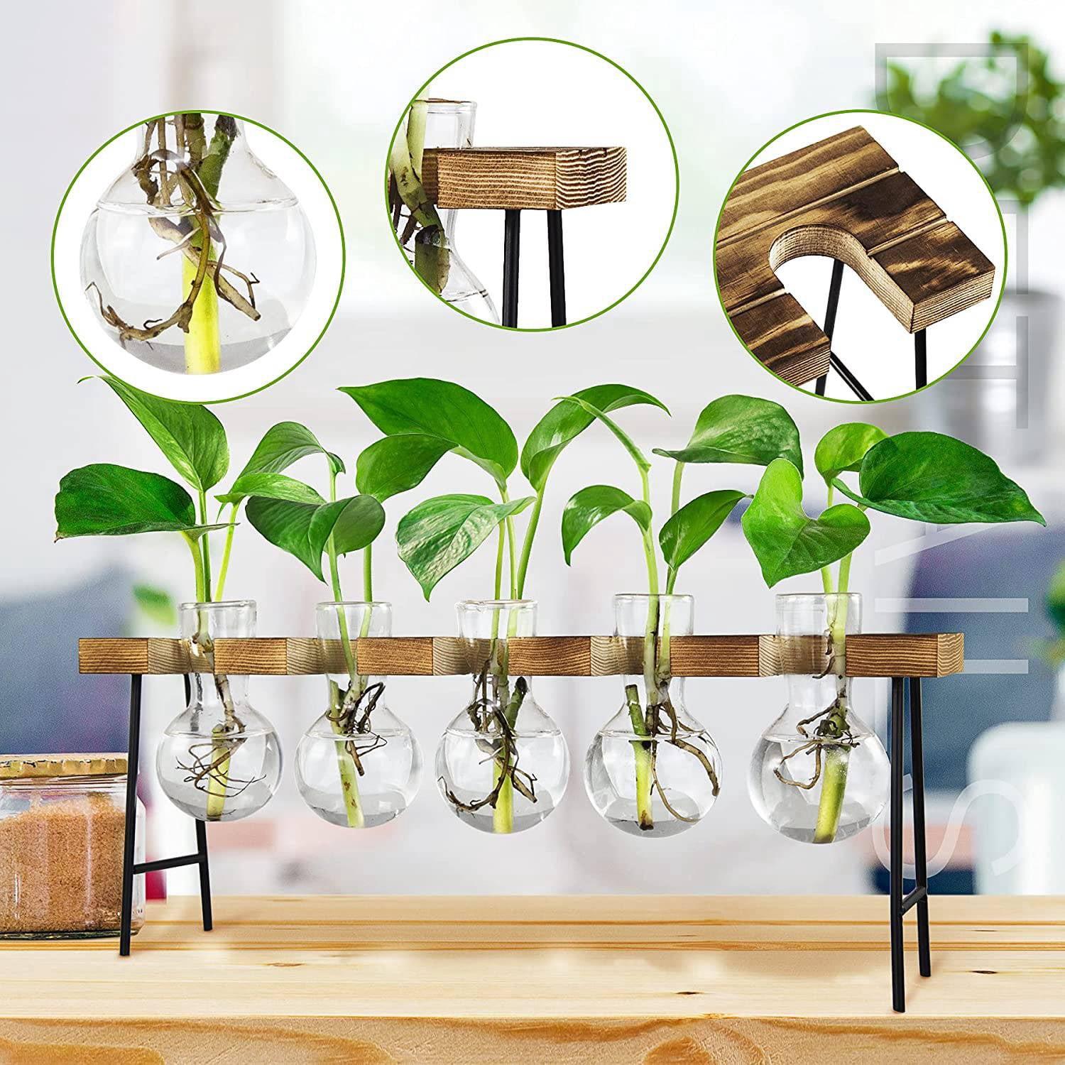 2 Pièces Vase en Tube à Essai Avec Cadre en Bois - Pour Propagation Plantes Hydroponiques, Décoration Bureau Domicile (2 Tubes Inclus