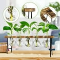 thumbnail image 4 of Estaciones de PropagacióN Terrario de Plantas de Aire de Escritorio, JarróN de Vidrio con Bulbo de Maceta de Vidrio con Soporte de Madera - Terrario de Plantas, 4 of 7
