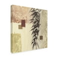 thumbnail image 2 of Trademark Fine Art 'Textured Bamboo II' Canvas Art by Chris Paschke, 2 of 3
