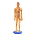 thumbnail image 2 of Tachiuwa Chinese Medical Acupuncture Model Demonstration Learning Aid Height 15.7inch Copper, 2 of 8