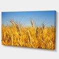 thumbnail image 2 of Bright Golden Wheat Field - Large Landscape Canvas Art, 2 of 4
