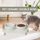 thumbnail image 3 of Cuenco Elevado Inclinado Platos Altos para Gatos Comedero Ergonómico para Mascotas Sin Estrés Elevados para Gatos con Soporte Antideslizante Verde, 3 of 5