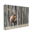 thumbnail image 3 of Stupell Industries Elk Looming Out Birch Trees Animal Forest Photograph,48 x 36, Design by Danita Delimont, 3 of 7