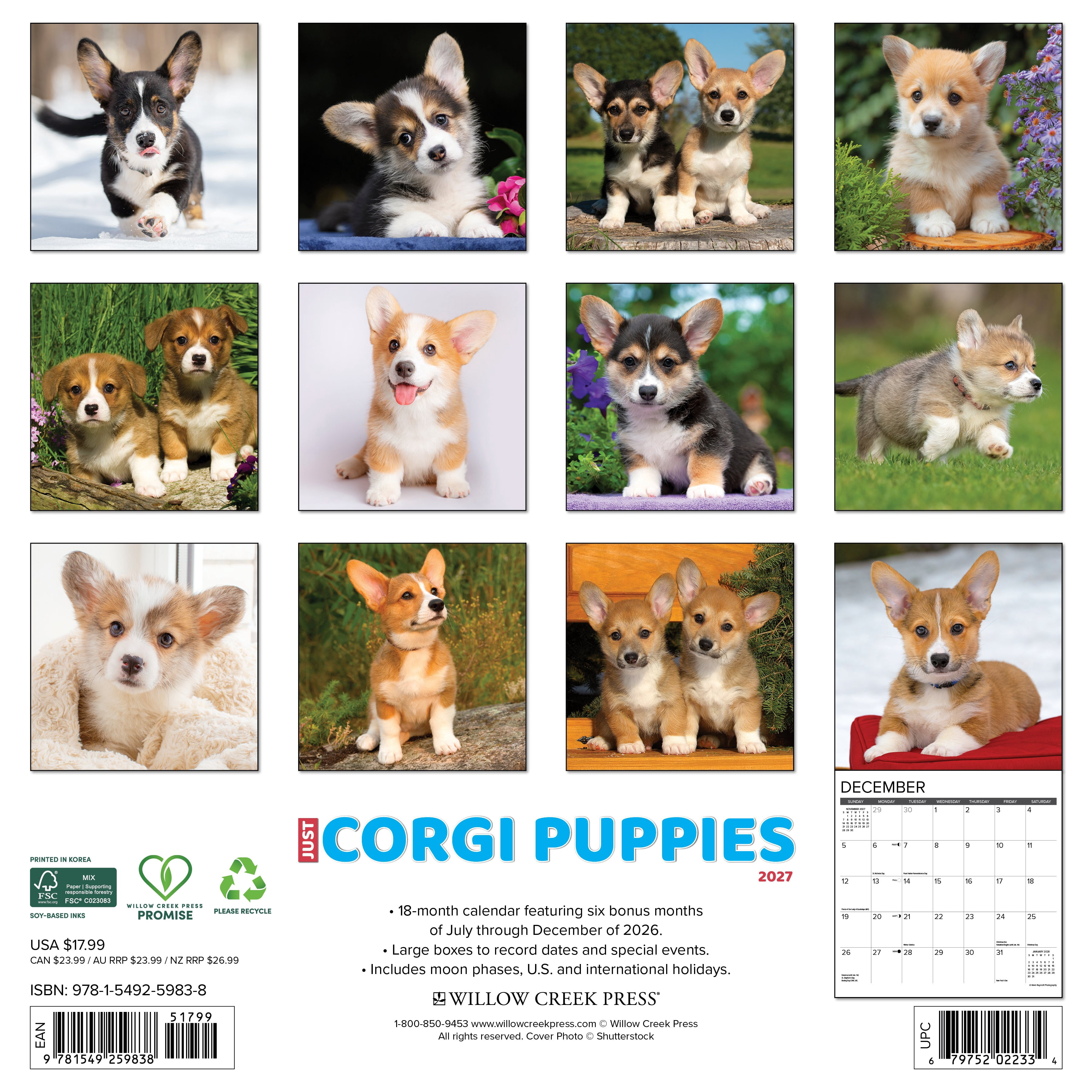 Willow Creek Press, Corgi Puppies 2027 Wall Calendar