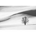 thumbnail image 2 of The Yellowstone Collection 18x13 Black Ornate Wood Framed with Double Matting Museum Art Print Titled - Snow Dunes, Hayden Valley, Yellowstone National Park, 2 of 4