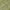 Olive, variant on Addison Rugs Chantille Indoor/Outdoor Transitional Stripes Olive Washable Rectangle Rug, 10' x 14'
