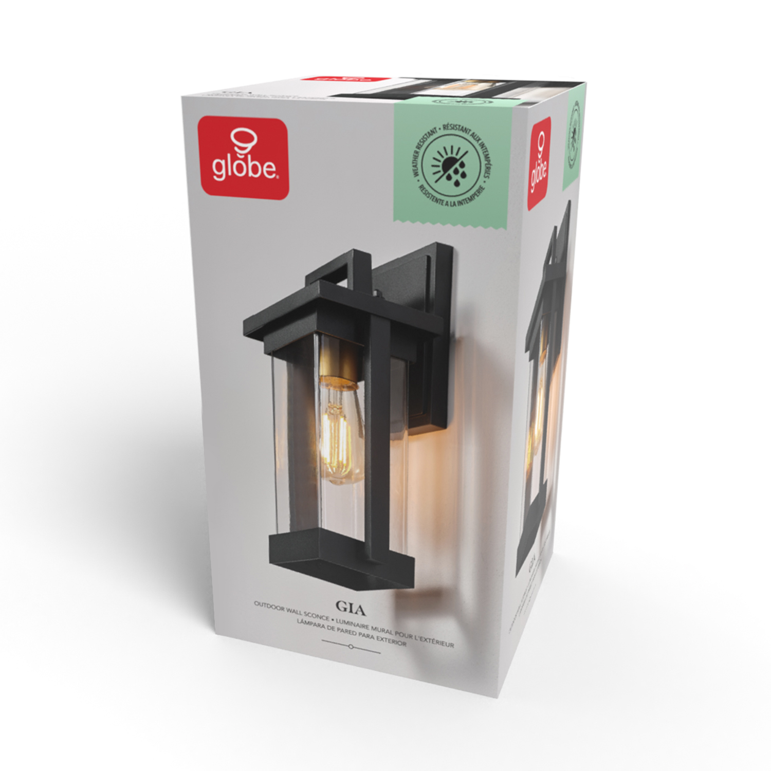 Globe Electric 1-Light Matte Black Outdoor Hardwired Wall Sconce with Brass Accent and Clear Seeded Glass Shade
