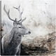 thumbnail image 1 of Brote, 1 of 4