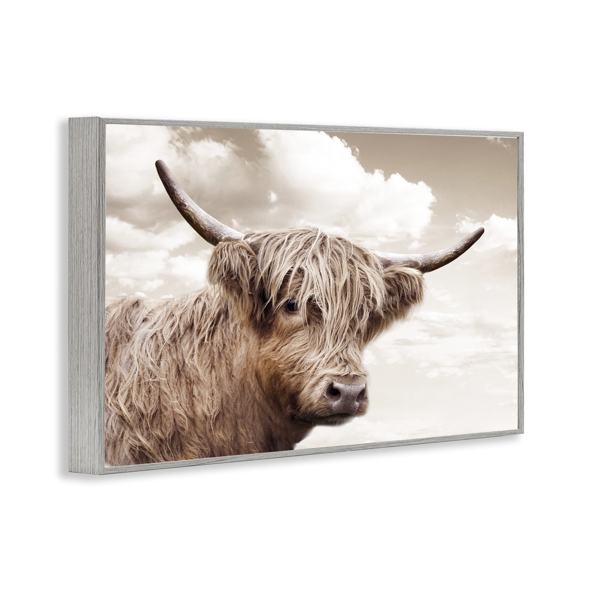 Stupell Industries Shaggy Highland Cow & Clouds Gray Framed Giclee Art, design by CAD Designs