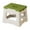 Green, variant on Step Stool Step Stool for Bathroom and Home Use Skidproof Design for Safety Plastic Construction with Textured Surface for Grip Enhanced Load-Bearing for Stability Skidproof Stool