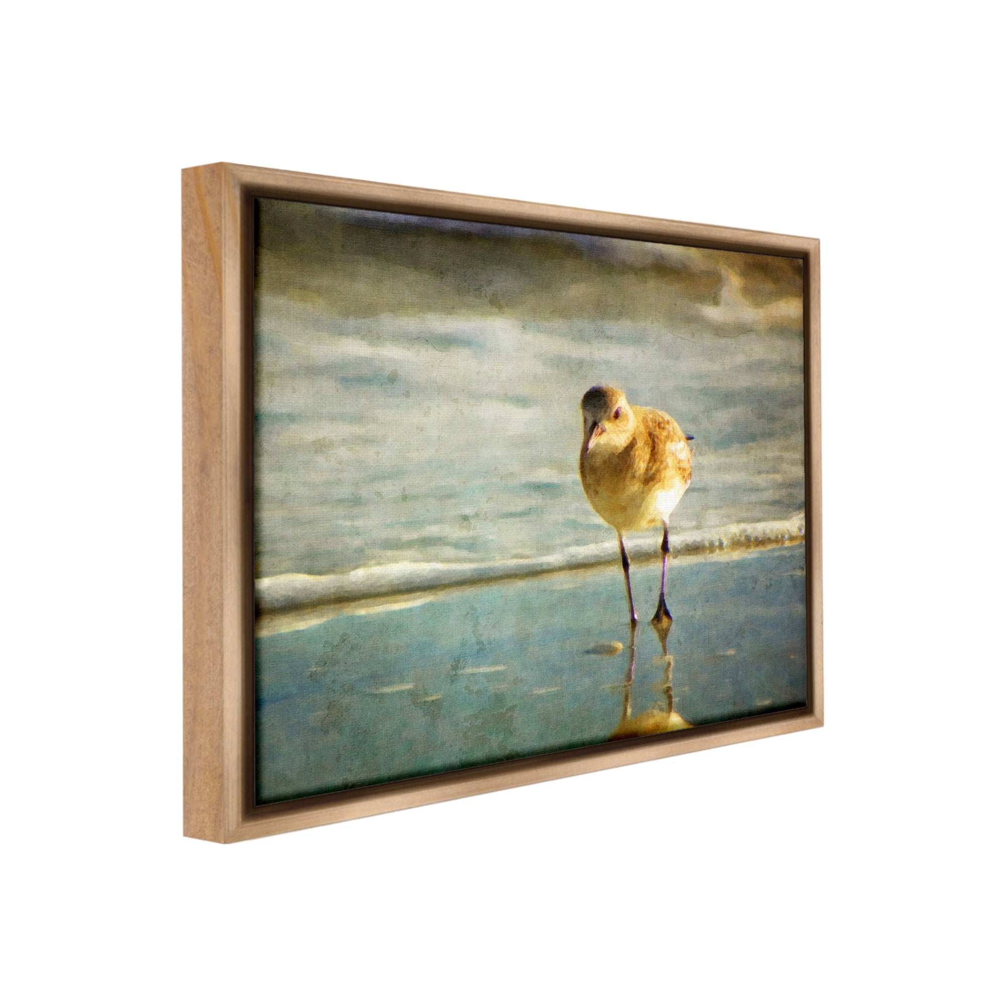 Stupell Industries Stepping Sandpiper at Shore Animals & Insects Photography Brown Floater Framed Canvas Art Print Wall Art, 31 x 25