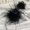 Blackfeathers2, variant on Autumn and winter new high-end mesh feather clip shark clip elegant hair clip half-tie hair ornament new two-piece set