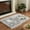 2-Gray, variant on OldPAPA Pink 2x4 Feet Faux Fur Rug for Bedroom Decor for Teen Girls Throw Fuzzy Fluffy Furry Sheepskin Rug for Sofa Cushion Luxury Home Décor Rectangle