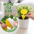thumbnail image 6 of Minzimin Fruit Fly Traps Indoor Fungus Gnat Trap 20/40/60 PCS for Plants Yellow Houseplants Outdoor Use Insect Sticky, 6 of 8