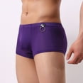 thumbnail image 4 of Gubotare Men's Panties Big and Tall Men's Cotton Underwear Gift Box Briefs - Trunks - Boxer Briefs (Purple,M), 4 of 5