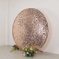 thumbnail image 3 of BalsaCircle 7.5 ft Blush Sparkly Big Payette Sequin Round Backdrop Stand Cover Wedding Party Events Home Decorations, 3 of 8