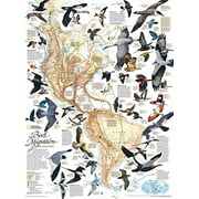 New York Puzzle Company - National Geographic Bird Migration - 1000 Piece Jigsaw Puzzle