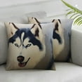 thumbnail image 2 of Nawypu Decorative Throw Pillow Covers Red n Husky Dog Blue Climate Eyes Animals Cute Wildlife Parks Outdoor Relax Square Pillow Cover Cases for Couch Sofa 2pc, 2 of 6