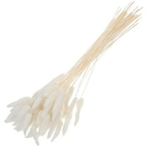 GOOHOCHY White Dried Flower Rabbittail For Diy Craft And Meeting Room Decor 60 Pcs 23.6 In