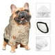 thumbnail image 3 of Fotbe Coffee Time Sudadera con Estampado para Perros Pequeños – Suéter con Capucha para Mascotas, Tela Suave de Forro Polar con Bolsillo-Medium, 3 of 7