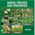 thumbnail image 4 of 32 oz. 7,500 sq. ft. Spring Ready-to-Spray Concentrate Weed and Feed Lawn Fertilizer, 4 of 8