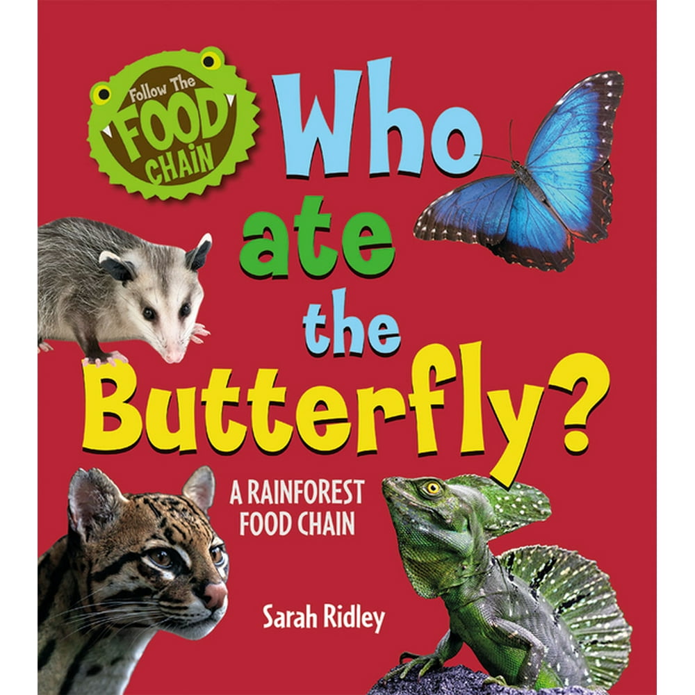 Follow the Food Chain: Who Ate the Butterfly? a Rainforest Food Chain ... Biology Diagrams