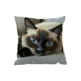 thumbnail image 6 of PLPPYFS Cute Animals Print Pillow, Grey and White Kitten Cushion Cases, Spring Home Decor for Sofa Couch, Cute Decorative Throw Pillows for Living Room, Soft and Skin-Friendly 17.7x17.7 Inch, 6 of 6