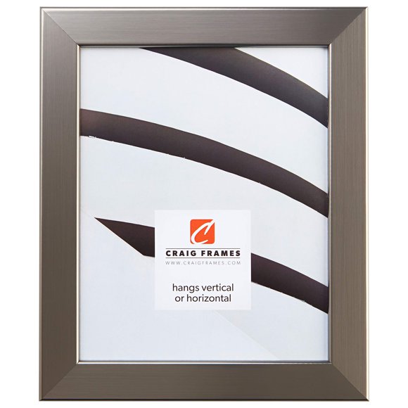 Craig Frames 26966 13 x 19-Inch Picture Frame, Smooth Wrap Finish, 1.26-Inch Wide, Silver Stainless