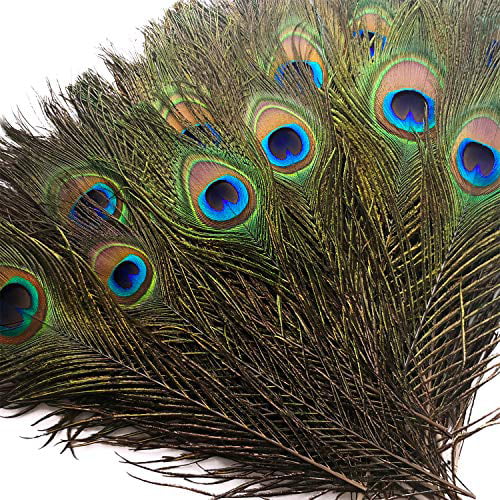 Piokio 100 pcs Natural Peacock Feathers in Bulk 10-12 for Christmas Crafts