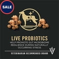 thumbnail image 2 of Purina Pro Plan Complete Essentials Small Breed 7 Plus Shredded Blend Chicken and Rice Formula Senior Dry Dog Food 18 lbs., 2 of 2