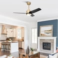 thumbnail image 3 of Vaczon 42" Modern Gold Dimmable Ceiling Fan DC Motor Indoor 3-Blade LED Ceiling Fan with Remote, 3 of 17